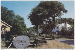 Exterior View, Landscape Outside Antique Shop, Quaint Village, Outer Banks, D...