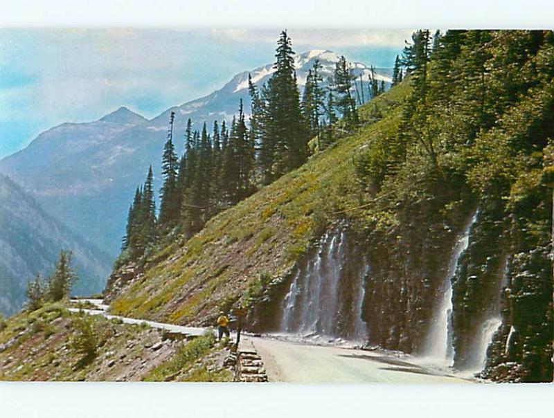 Weeping Wall Springs Flowing From Mountainside Glacier Nat Park  Postcard # 7128