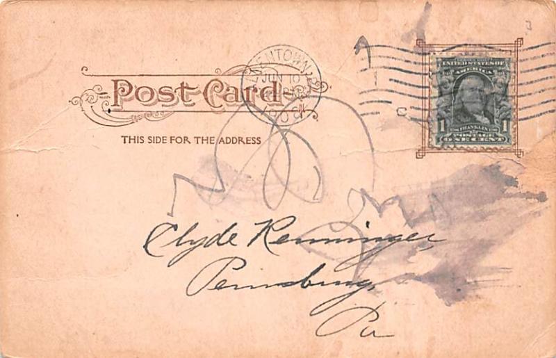 Bear Post Card Old Vintage Antique 1908