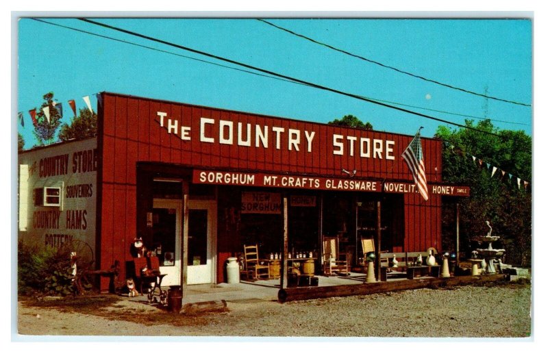 CANNONSBURG, KY Kentucky ~ Roadside The COUNTRY STORE 1975 Dexter Press Postcard