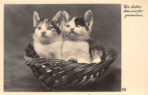 Cats in Basket Cat Unused 