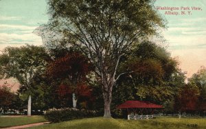 Vintage Postcard Washington Park View Recreation Picnics Albany New York NY
