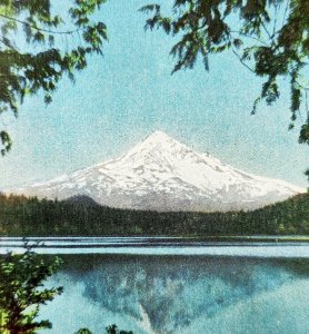 Mount Hood Lost Lake Oregon Postcard Pacific Northwest c1940-50s DWS5D