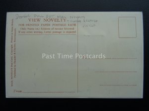 Dorset WEYMOUTH PORTLAND Novelty 5 Image Multiview & PULL-OUT c1950's Postcard