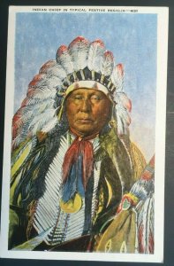 Mint Vintage Indian Chief Illustrated Postcard