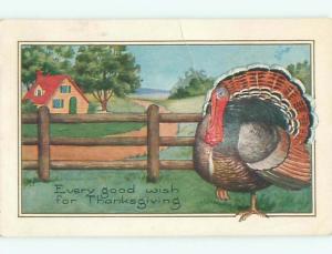 Divided-Back THANKSGIVING SCENE Great Postcard AA0473