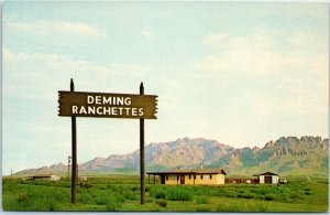 1960s New Homes in the Deming Ranchettes Deming NM New Mexico Postcard