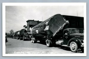 WESTERN WASHINGTON GIANT LOGS on TRUCKS VINTAGE REAL PHOTO POSTCARD RPPC