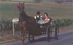 Pennsylvania Amish Family With Kids in Buggy Chrome Postcard Unused