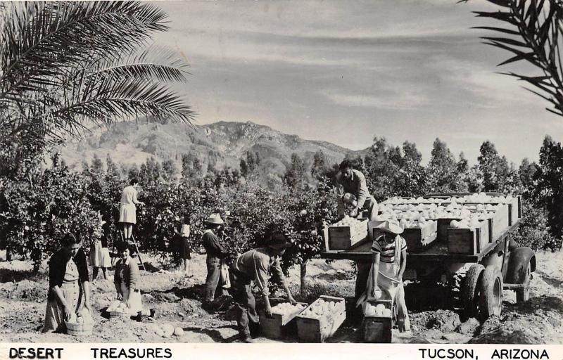 D32/ Tuscon Arizona Az Real Photo RPPC Postcard 1949 Desert Treasures Farming