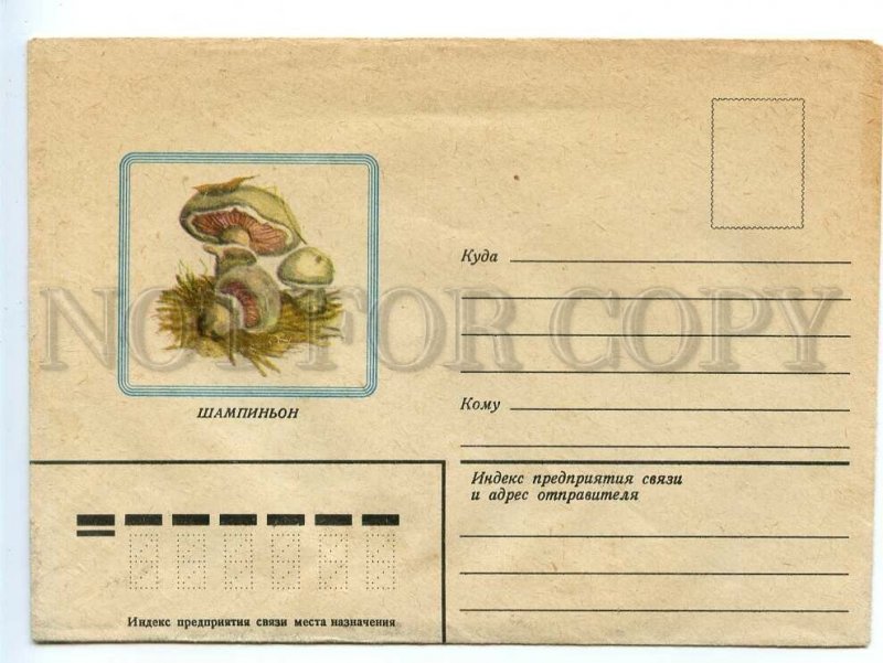 495198 USSR 1982 year Ostapenko champignon mushrooms COVER