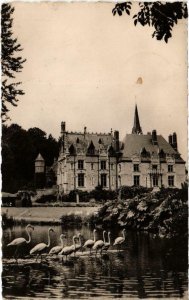 CPA Parc Zoologiques de CLERES - Facade du Chateau (105583)