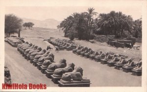 Postcard RPPC Avenue of Sphinxes Karnak Egypt