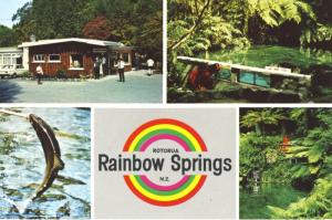 Rainbow Springs Rotorua NZ New Zealand Multiview Unused Postcard D22