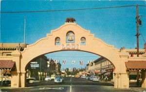 California Lodi Arch Flame Tokay Grape Roberts Ball Postcard 21-12474