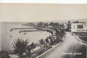 South Africa Postcard - Esplanade - Durban - Ref TZ6935