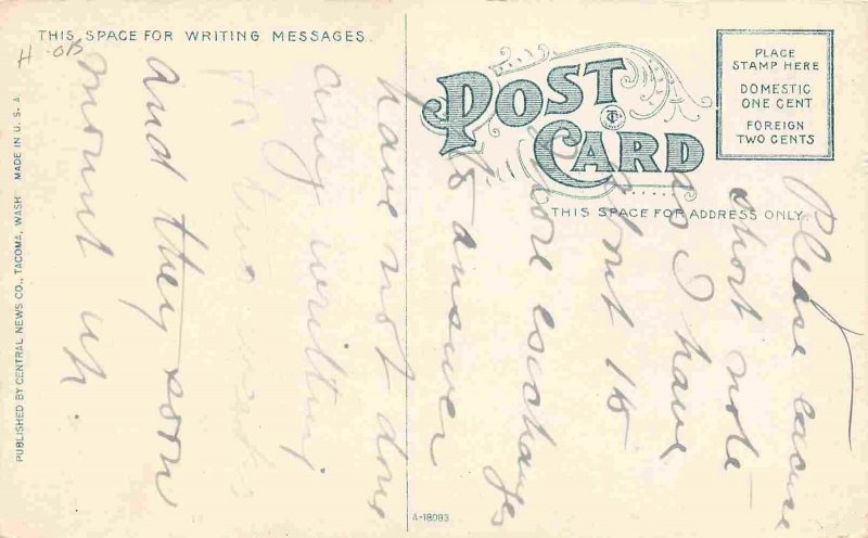 Pierce County Hospital Tacoma Washington 1910c postcard