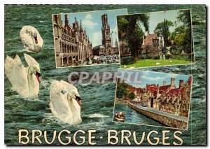 Modern Postcard Brugge Bruges