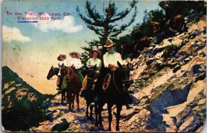 On The Trail Mt Lowe California California Postcard C056