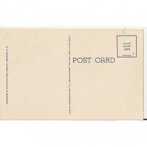 A Little Dear With A Bare Behind Curt Teich Printed Unposted Postcard