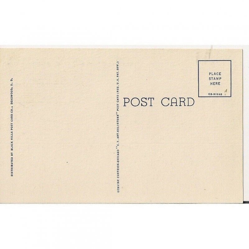 A Little Dear With A Bare Behind Curt Teich Printed Unposted Postcard