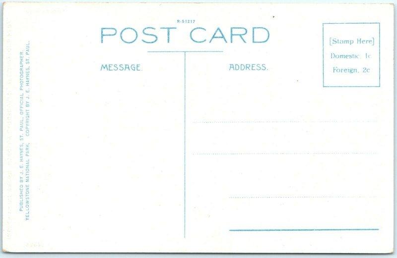 c1910s Yellowstone Indian Paint Brush Mimulus Langsdorfii Postcard Park A36