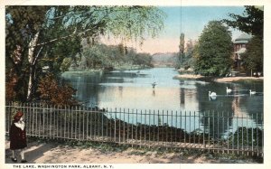 Vintage Postcard The Lake Washington Park Albany New York Swans Pub American Art