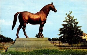 Kentucky Lexington Faraway Farms Man O War The Wonder Horse 1959