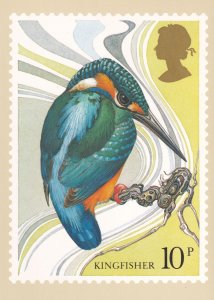 Kingfisher Bird PHQ Royal Mail Rare Postcard