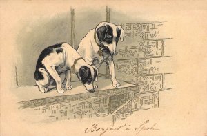 c.1902, PFB, Two Beautiful Black and White Puppies, European, Old Post Card