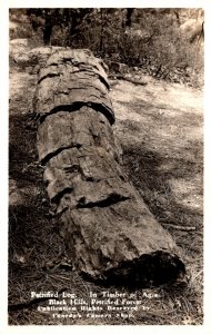 South Dakota Black Hills Petrified Log In Timber Of Ages Petrified Forest Rea...