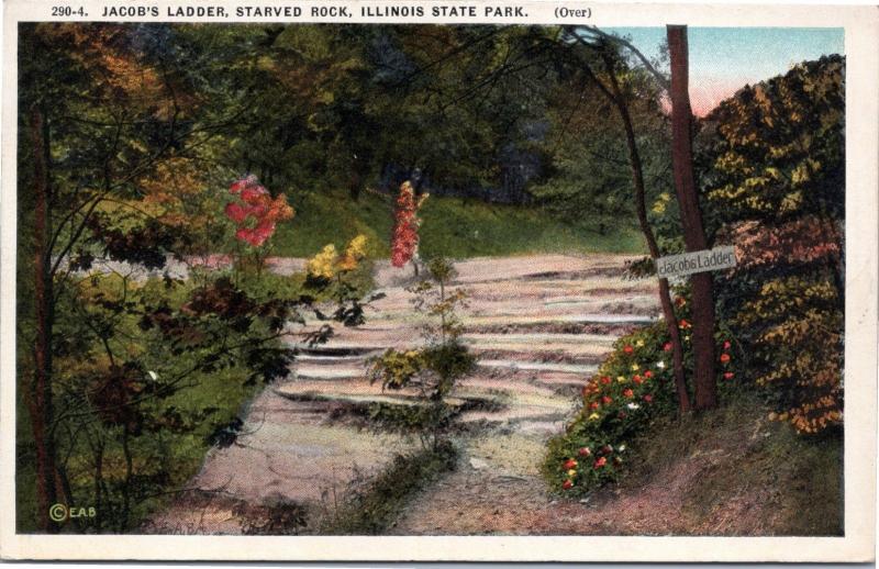 postcard IL -Jacob's Ladder, Starved Rock, Illinois State Park