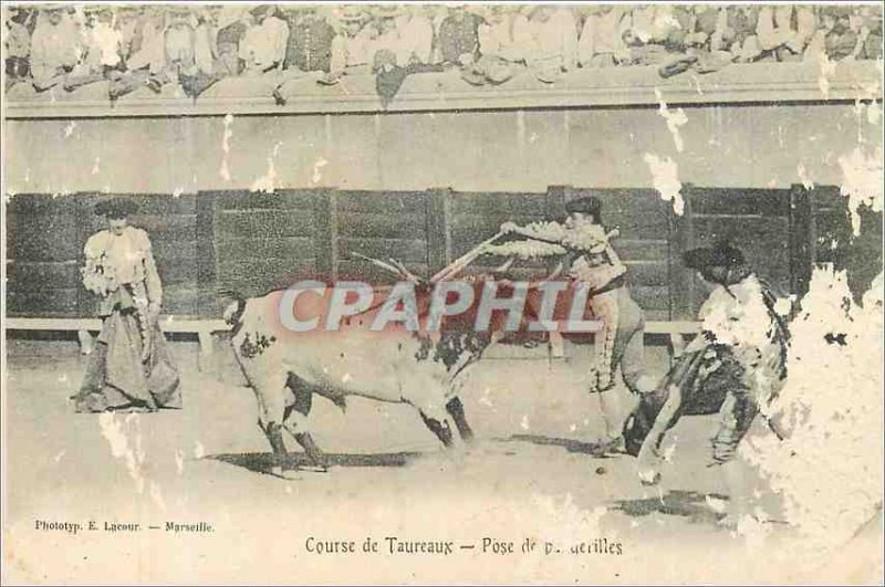 Old Postcard Bull Racing