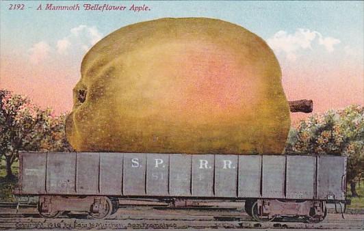 Exageration Mammoth Belleflower Apple On Railway Car