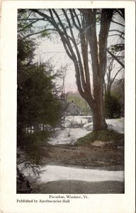 Paradise Windsor Vermont Scenic Streetview WB Apothecaries Hall Postcard 