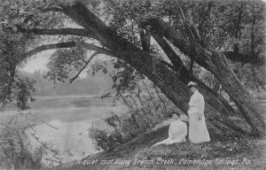 Cambridge Springs Pennsylvania French Creek Waterfront Antique Postcard K89024