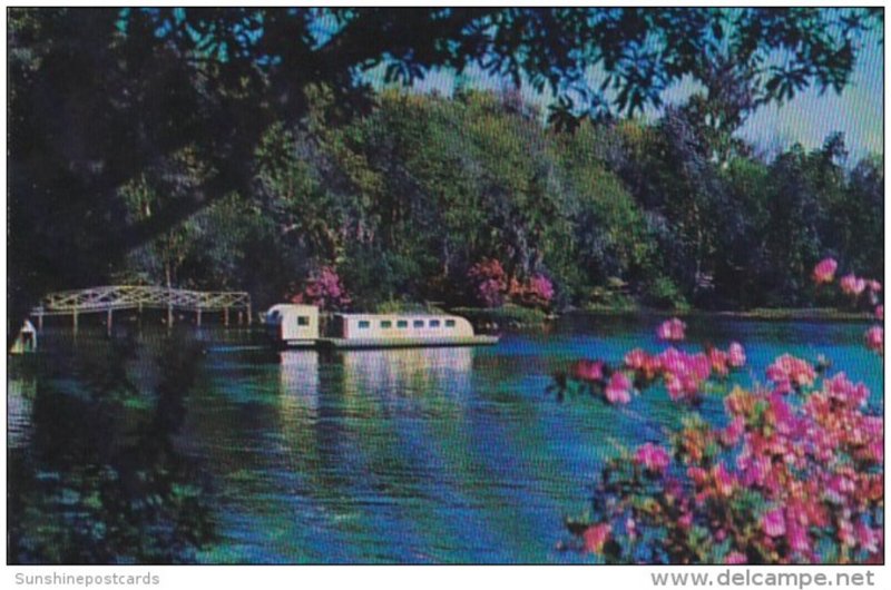 Florida Dunnellon Underwater Sub At Rainbow Springs