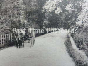 Surrey GUILDFORD Gomshall Lane c1904 by Frith 51809