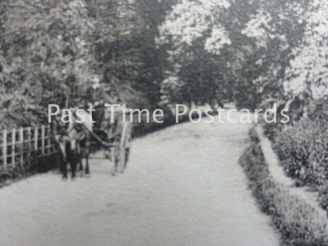 Surrey GUILDFORD Gomshall Lane c1904 by Frith 51809