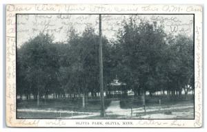 1907 Olivia Park, Olivia MN Postcard