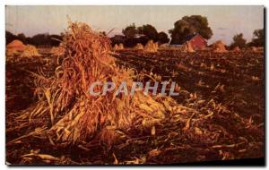 Old Postcard Golden Harvest