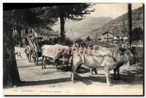 Old Postcard Lourdes A farmer steers hitch