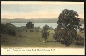 CANADARAGO LAKE LOOKING SOUTH RICHFIELD SPRINGS NEW YORK HAND COLORED POSTCARD