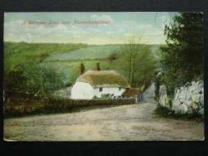 Devon MORETONHAMPSTEAD A Dartmoor Lane c1906 Postcard by E.S.