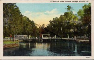 Radium River Radium Springs Albany GA Postcard PC290
