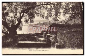 Old Postcard Menton Sous les Oliviers