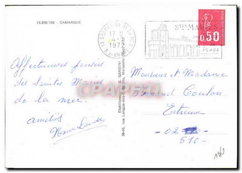 Postcard Modern Camargue