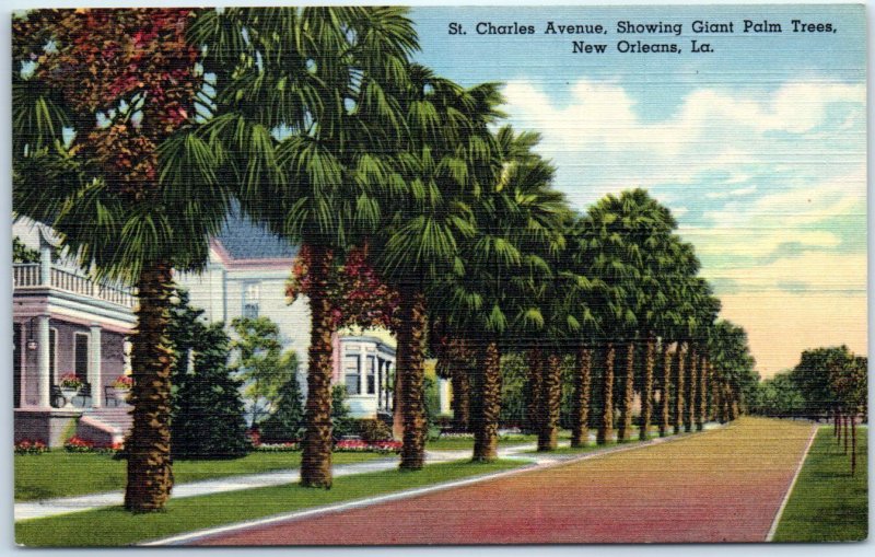 Postcard - St. Charles Avenue, Showing Giant Palm Trees - New Orleans, Louisiana 