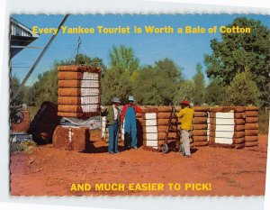 Postcard Every Yankee Tourist is Worth a Bale of Cotton Greetings from Dixie USA