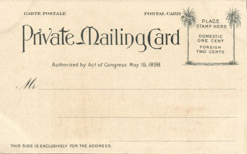 Hawaiian Islands, Cocoanut Island, Palm Trees (1900) Private Mailing Card